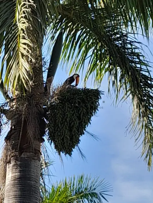 Foto 8 de Terreno / Lote à venda, 1120m2 em Parque Ecoresidencial Fazenda Jequitibá, Sorocaba - SP