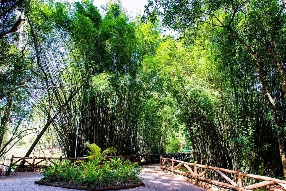 Foto 9 de Terreno / Lote à venda, 1000m2 em Jardim Residencial Saint Patrick, Sorocaba - SP