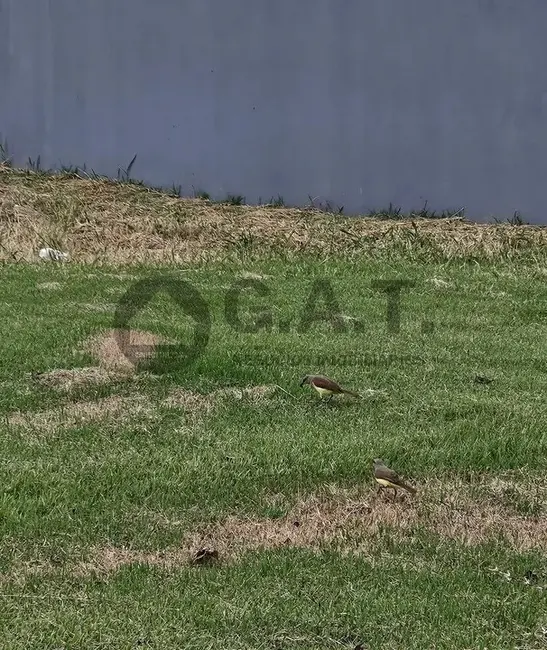 Terreno / Lote à venda, 1004m2 em Parque Ecoresidencial Fazenda Jequitibá, Sorocaba - SP - imagem 4 Foto 4 de Terreno / Lote à venda, 1004m2 em Parque Ecoresidencial Fazenda Jequitibá, Sorocaba - SP