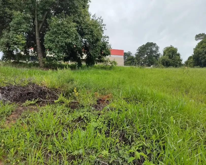Foto 2 de Terreno / Lote para alugar, 25126m2 em Iporanga, Sorocaba - SP