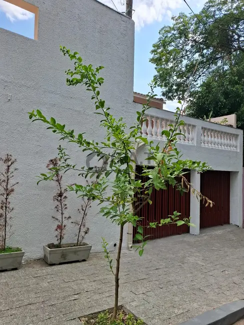 Foto 1 de Casa com 3 quartos para alugar, 250m2 em Jardim Paulistano, Sorocaba - SP