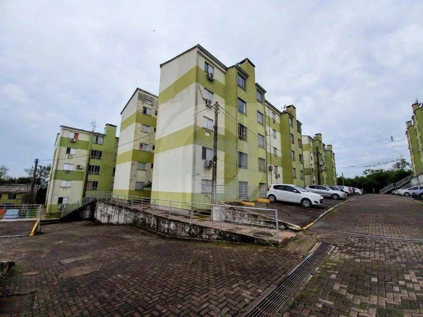 Foto 1 de Apartamento com 2 quartos para alugar, 45m2 em Pinheiro, Sao Leopoldo - RS