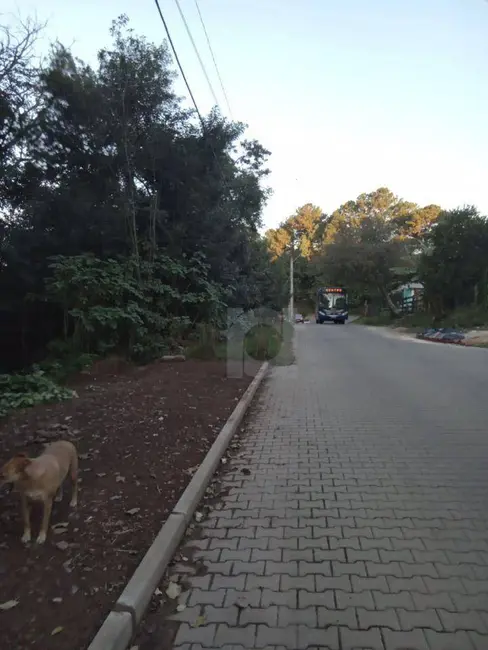 Terreno / Lote à venda, 360m2 em Sao Leopoldo - RS - imagem 5 Foto 5 de Terreno / Lote à venda, 360m2 em Sao Leopoldo - RS