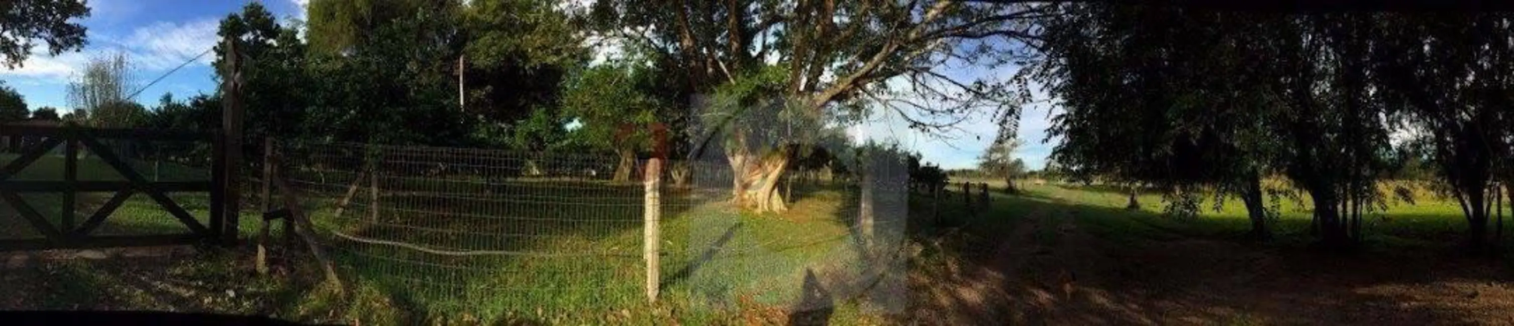 Foto 2 de Terreno / Lote à venda, 140000m2 em Centro, Portao - RS