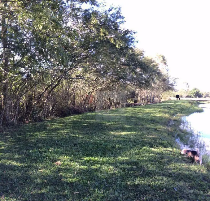 Terreno / Lote à venda, 140000m2 em Centro, Portao - RS - imagem 5 Foto 5 de Terreno / Lote à venda, 140000m2 em Centro, Portao - RS
