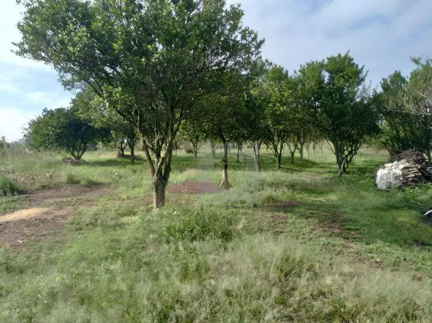 Terreno / Lote à venda, 18431m2 em Feitoria, Sao Leopoldo - RS - imagem 5 Foto 5 de Terreno / Lote à venda, 18431m2 em Feitoria, Sao Leopoldo - RS