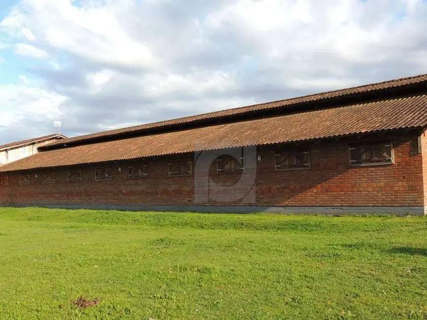 Foto 8 de Chácara com 2 quartos à venda, 1000m2 em Portao - RS