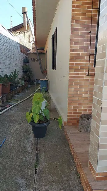 Foto 7 de Casa com 3 quartos à venda, 390m2 em Santa Teresa, Sao Leopoldo - RS