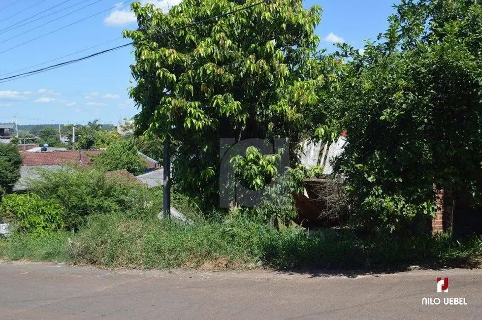 Foto 3 de Terreno / Lote à venda, 392m2 em Portao - RS