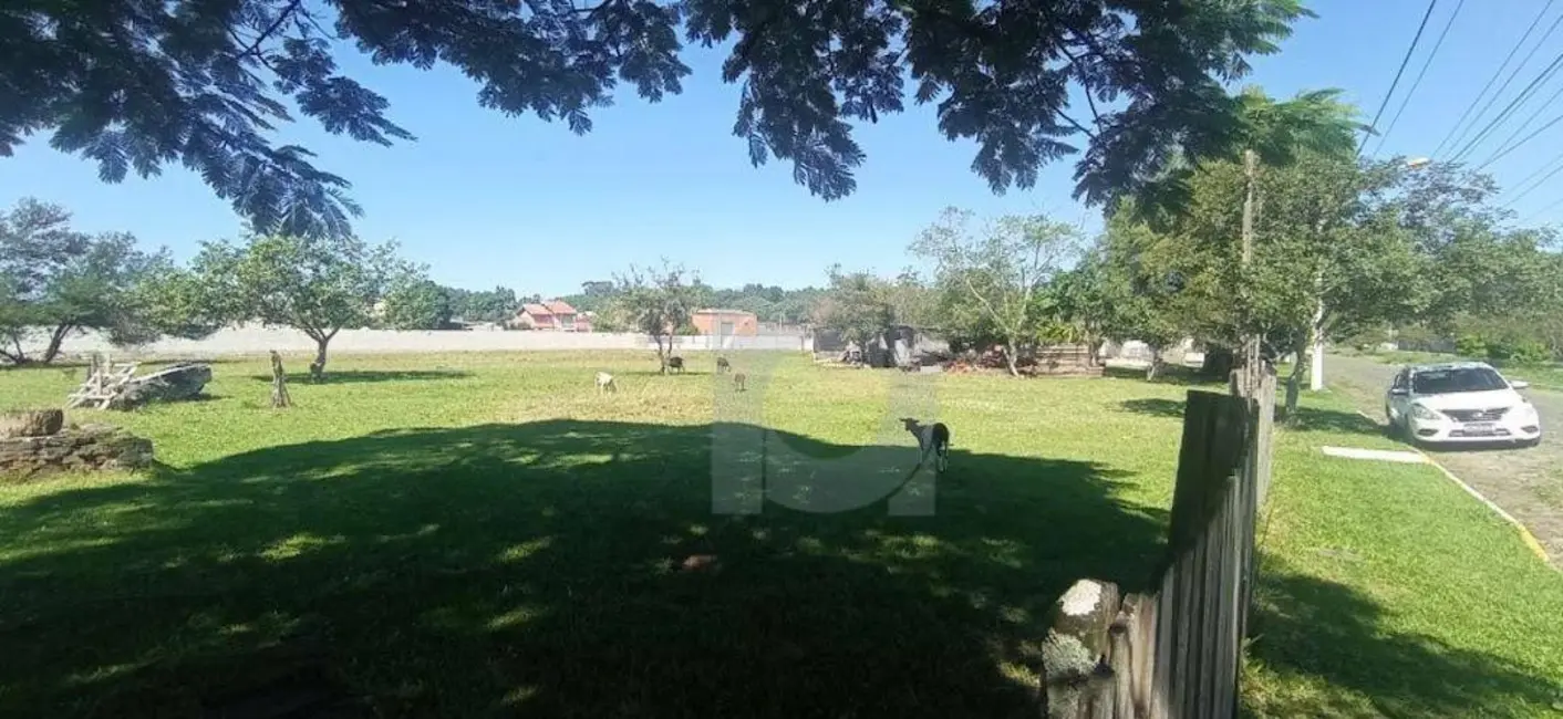 Foto 5 de Sala Comercial à venda, 8288m2 em Vicentina, Sao Leopoldo - RS