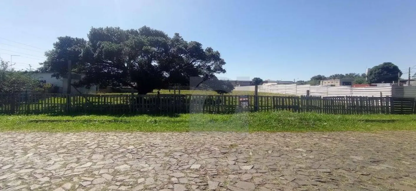 Foto 4 de Sala Comercial à venda, 8288m2 em Vicentina, Sao Leopoldo - RS