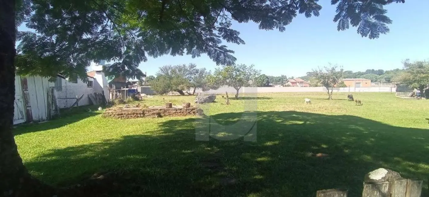 Foto 8 de Sala Comercial à venda, 8288m2 em Vicentina, Sao Leopoldo - RS