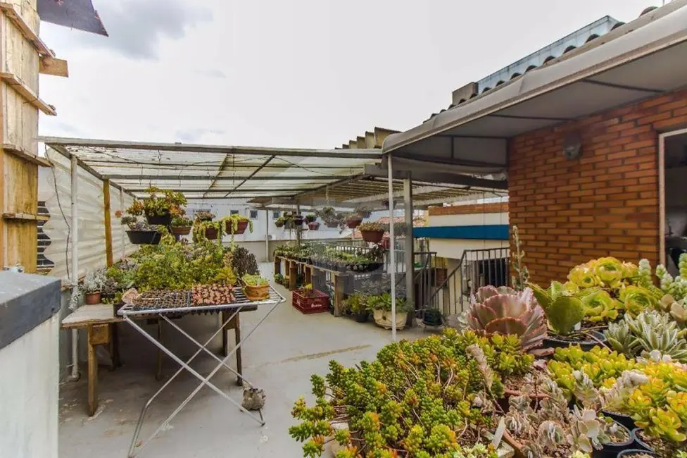 Foto 6 de Casa com 3 quartos à venda, 360m2 em Centro, Sao Leopoldo - RS