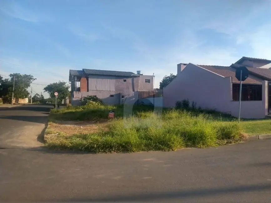 Foto 3 de Terreno / Lote à venda, 244m2 em Portao - RS