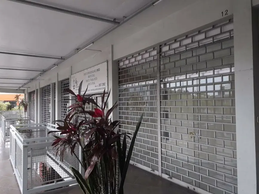 Foto 4 de Sala Comercial para alugar, 30m2 em Rio Branco, Sao Leopoldo - RS