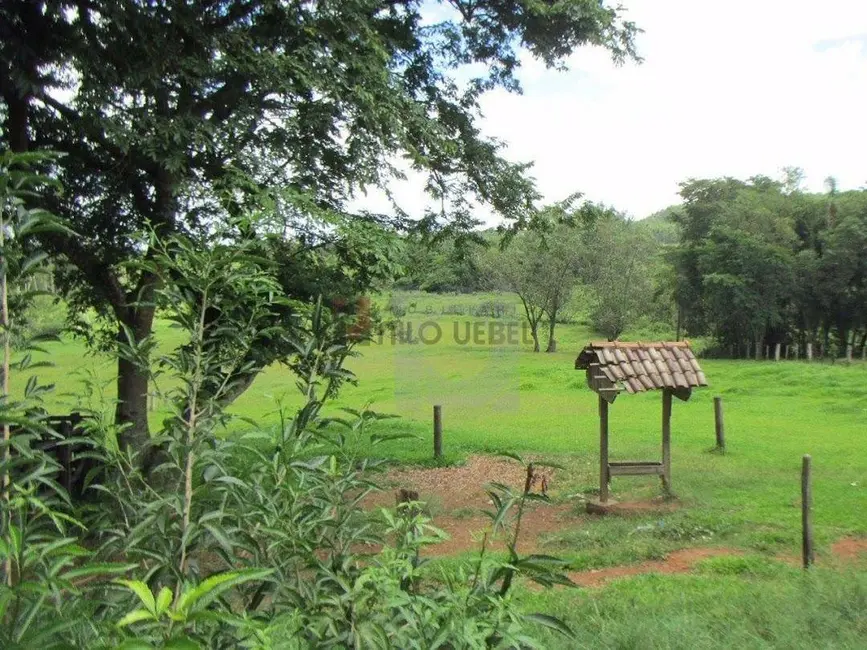 Foto 1 de Chácara com 2 quartos à venda, 38000m2 em Portao - RS