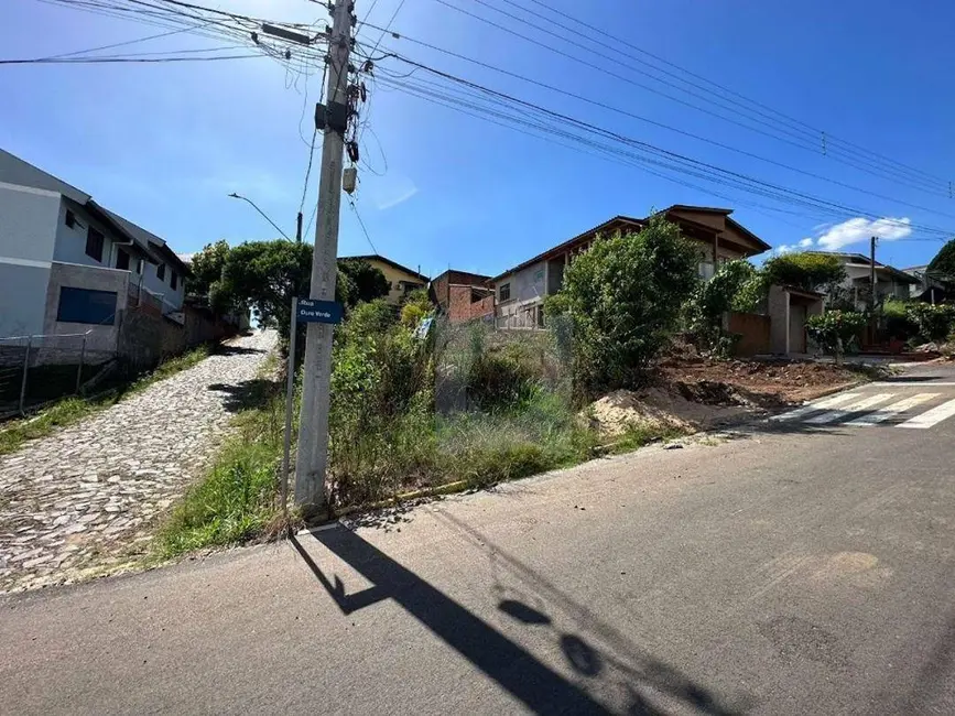 Foto 3 de Terreno / Lote à venda, 361m2 em Portao - RS