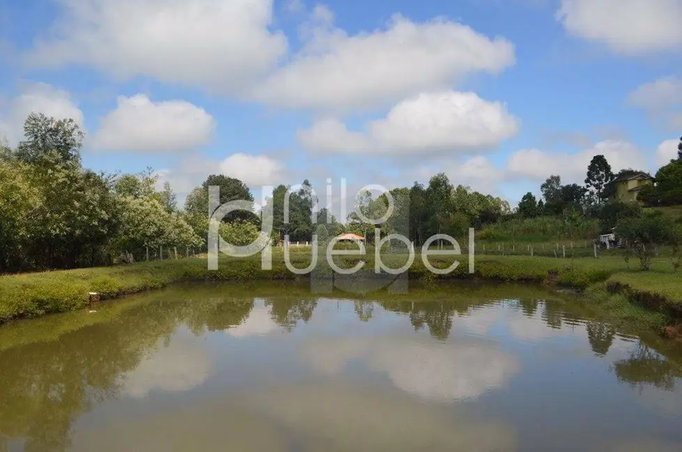 Chácara com 3 quartos à venda, 5000m2 em Portao - RS - imagem 3 Foto 3 de Chácara com 3 quartos à venda, 5000m2 em Portao - RS