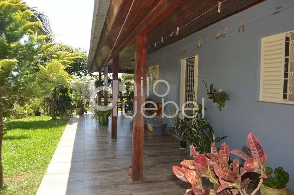 Chácara com 3 quartos à venda, 5000m2 em Portao - RS - imagem 2 Foto 2 de Chácara com 3 quartos à venda, 5000m2 em Portao - RS