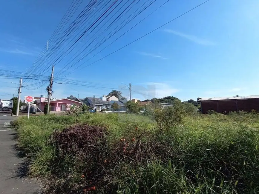 Foto 5 de Terreno / Lote à venda, 480m2 em Centro, Portao - RS