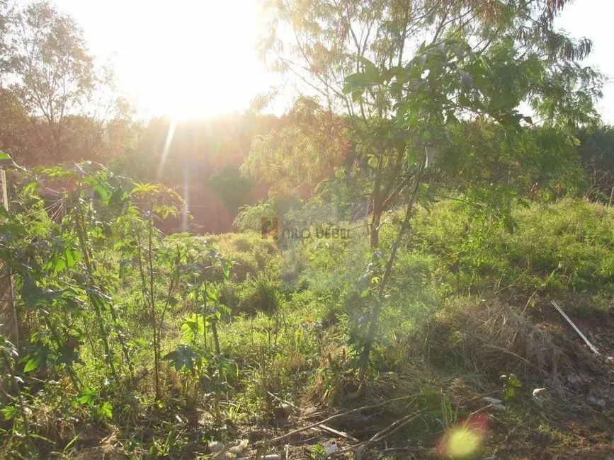 Foto 2 de Terreno / Lote à venda, 360m2 em Portao - RS