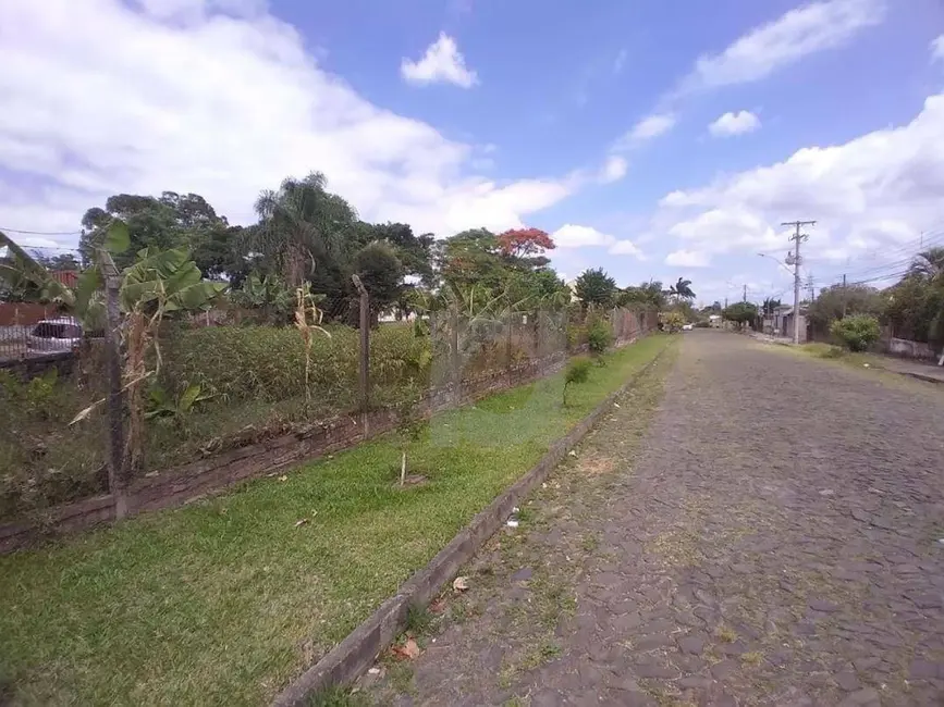 Casa com 2 quartos à venda, 2951m2 em Vicentina, Sao Leopoldo - RS - imagem 3 Foto 3 de Casa com 2 quartos à venda, 2951m2 em Vicentina, Sao Leopoldo - RS