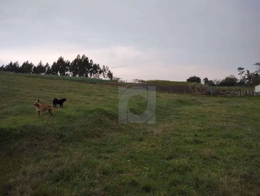 Foto 6 de Terreno / Lote à venda, 60000m2 em Portao - RS