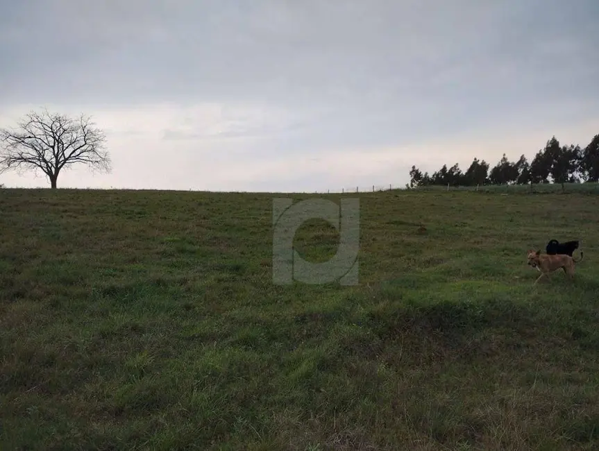 Foto 5 de Terreno / Lote à venda, 60000m2 em Portao - RS