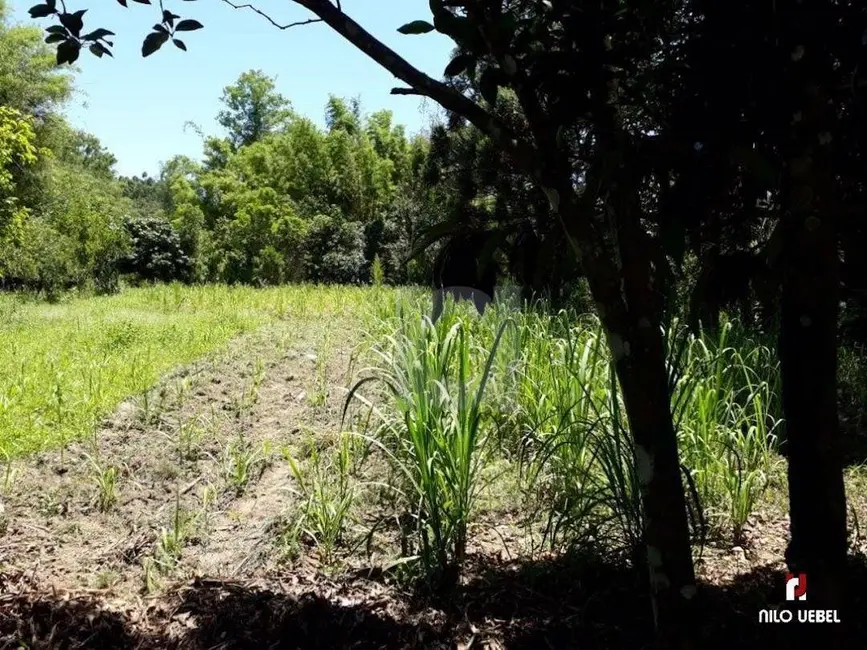 Foto 2 de Chácara com 3 quartos à venda, 200m2 em Capela De Santana - RS