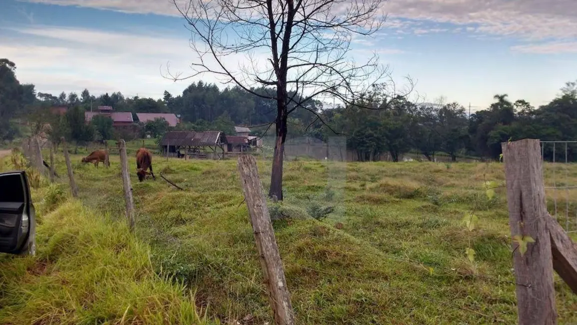 Foto 8 de Chácara com 3 quartos à venda, 15000m2 em Portao - RS
