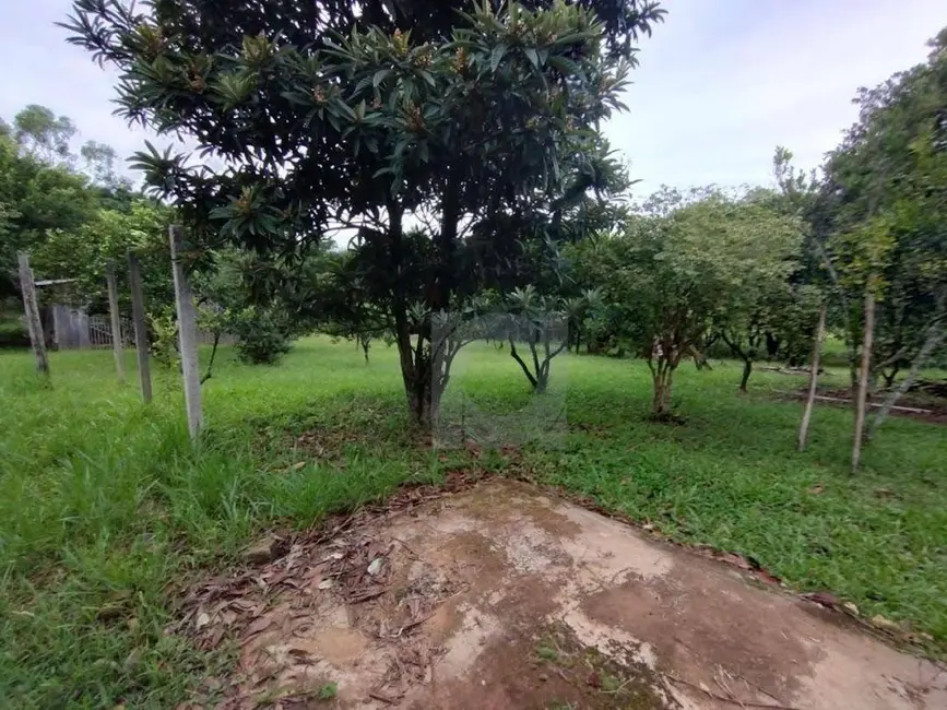 Foto 5 de Chácara com 3 quartos à venda, 3000m2 em Portao - RS