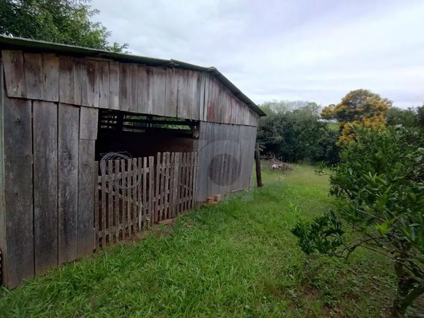 Foto 4 de Chácara com 3 quartos à venda, 3000m2 em Portao - RS