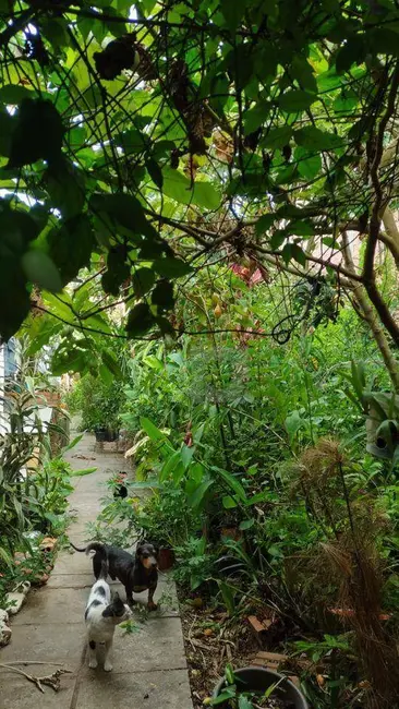 Terreno / Lote à venda, 360m2 em Vicentina, Sao Leopoldo - RS - imagem 8 Foto 8 de Terreno / Lote à venda, 360m2 em Vicentina, Sao Leopoldo - RS