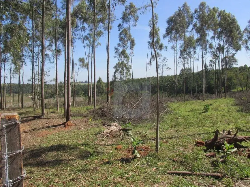 Foto 2 de Sala Comercial à venda, 34000m2 em Portao - RS