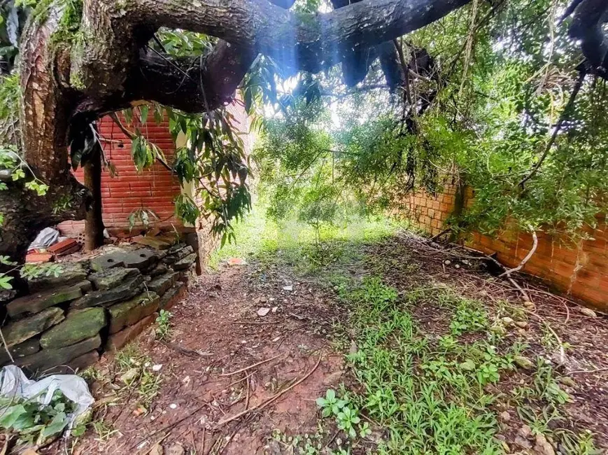 Terreno / Lote à venda, 360m2 em Fazenda São Borja, Sao Leopoldo - RS - imagem 7 Foto 7 de Terreno / Lote à venda, 360m2 em Fazenda São Borja, Sao Leopoldo - RS