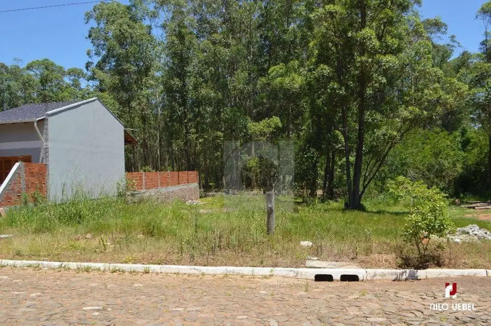Foto 9 de Terreno / Lote à venda, 300m2 em Portao - RS