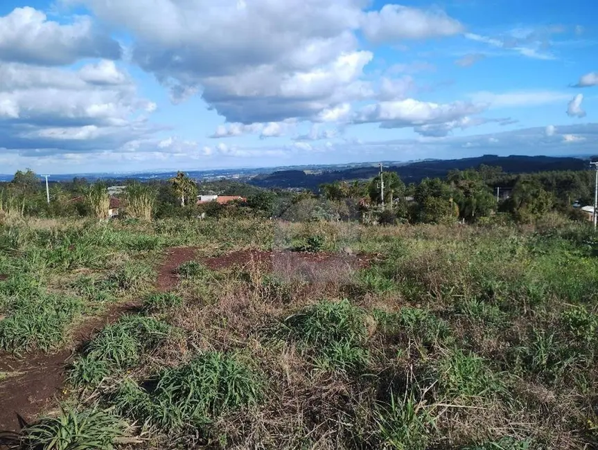 Foto 9 de Terreno / Lote à venda, 19406m2 em Portao - RS
