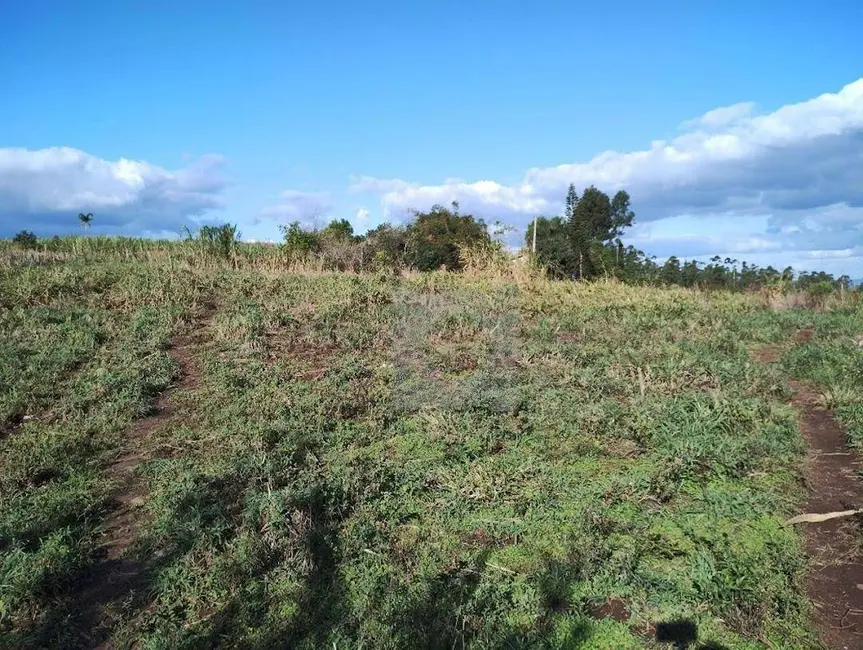 Foto 7 de Terreno / Lote à venda, 19406m2 em Portao - RS