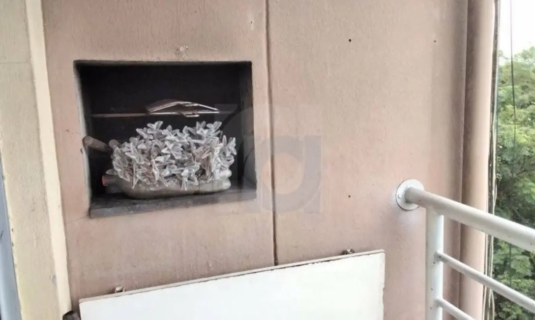 Foto 5 de Apartamento com 2 quartos à venda, 47m2 em Pinheiro, Sao Leopoldo - RS