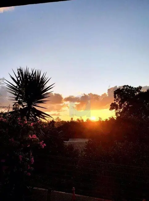 Foto 4 de Casa com 3 quartos à venda, 339m2 em Scharlau, Sao Leopoldo - RS