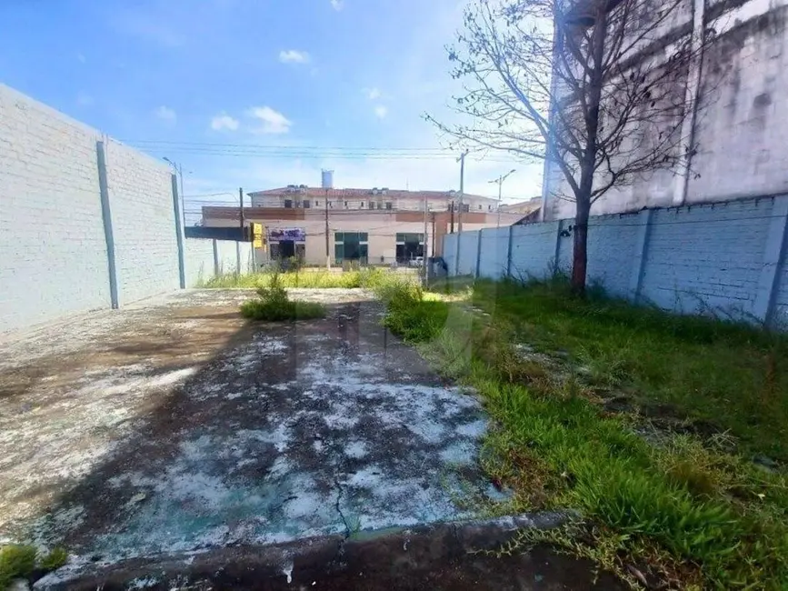 Foto 4 de Casa com 2 quartos para alugar, 218m2 em Pinheiro, Sao Leopoldo - RS