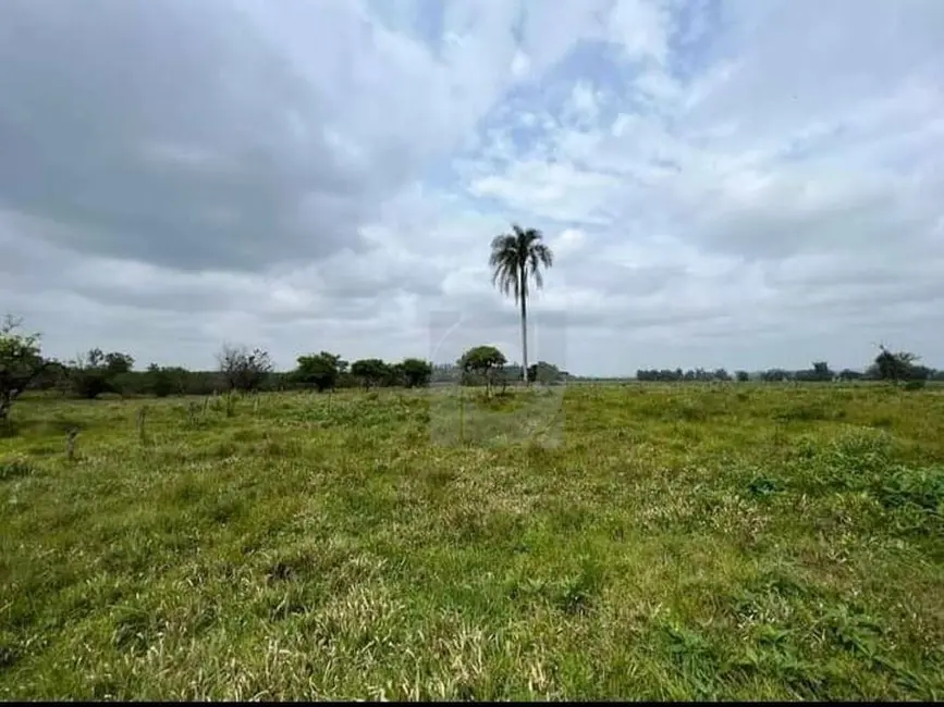 Foto 1 de Sala Comercial à venda, 81396m2 em Nova Santa Rita - RS