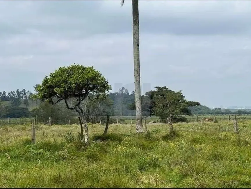 Foto 4 de Sala Comercial à venda, 81396m2 em Nova Santa Rita - RS