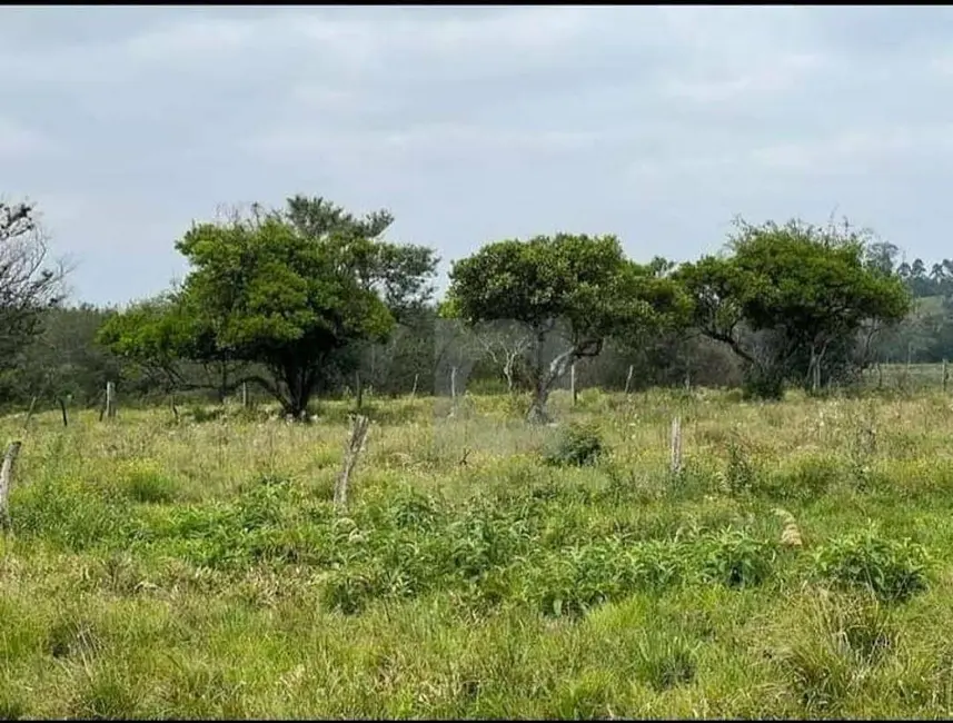 Foto 3 de Sala Comercial à venda, 81396m2 em Nova Santa Rita - RS