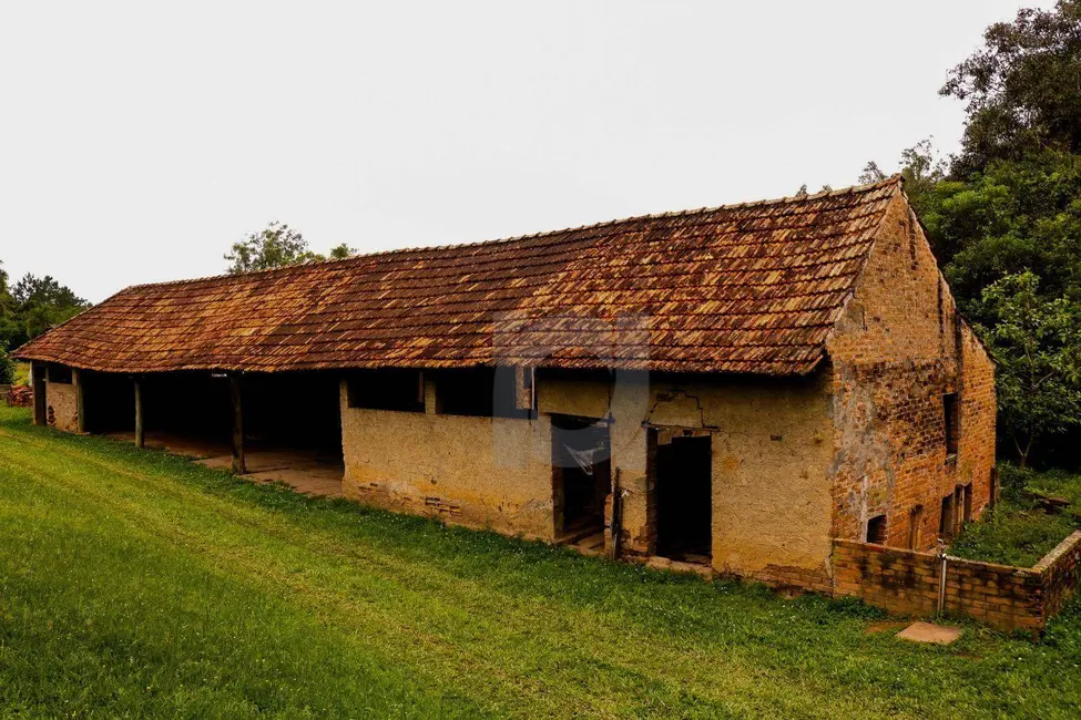 Foto 9 de Sala Comercial à venda, 39000m2 em Rio Branco, Sao Leopoldo - RS
