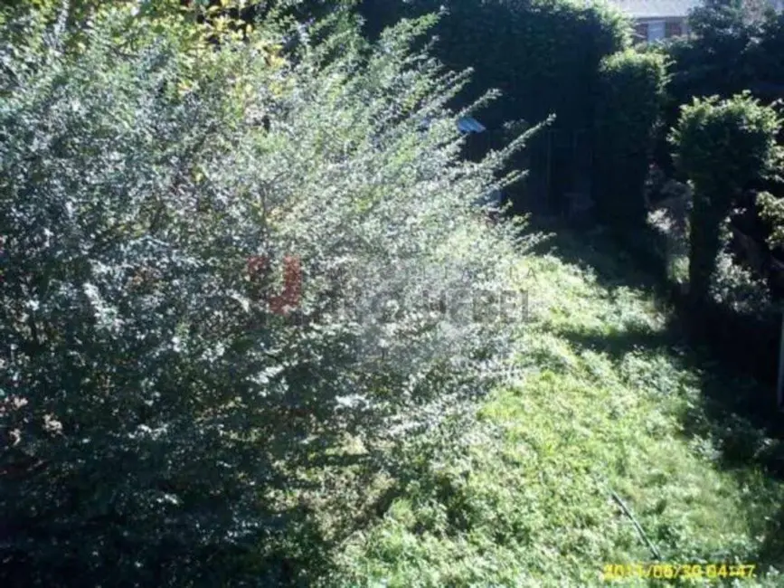 Foto 8 de Casa com 2 quartos à venda, 629m2 em Jardim América, Sao Leopoldo - RS