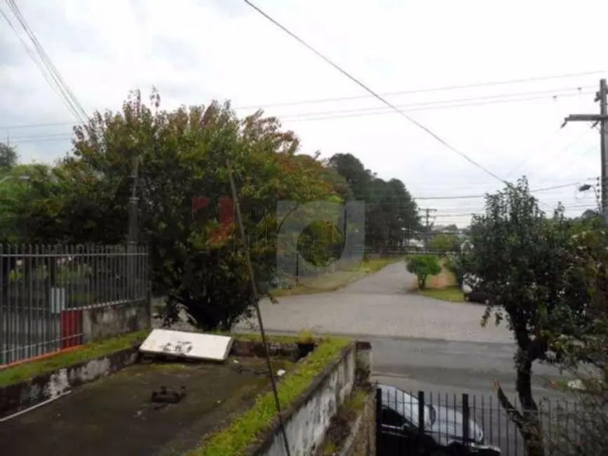 Foto 6 de Casa com 3 quartos à venda, 875m2 em Padre Reus, Sao Leopoldo - RS