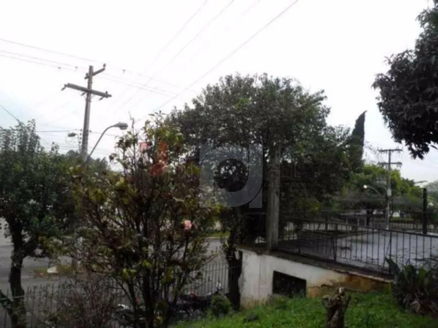 Foto 7 de Casa com 3 quartos à venda, 875m2 em Padre Reus, Sao Leopoldo - RS