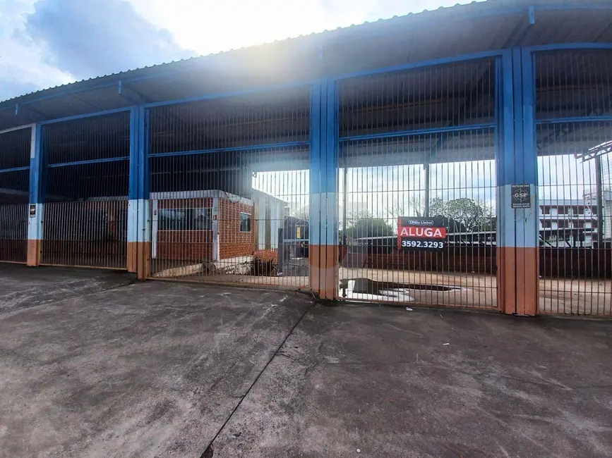 Foto 2 de Armazém / Galpão para alugar, 500m2 em Vicentina, Sao Leopoldo - RS