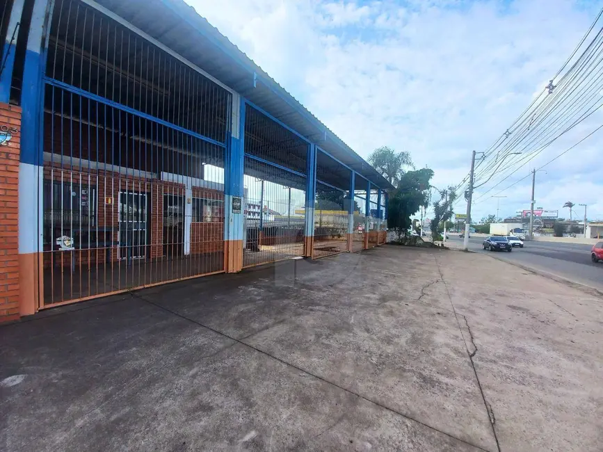 Foto 3 de Armazém / Galpão para alugar, 500m2 em Vicentina, Sao Leopoldo - RS